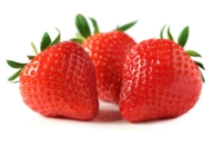 Fresh Egyptian Strawberry