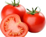 Fresh Egyptian Tomato