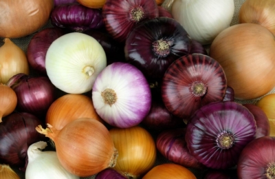Egyptian red onions