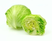 Fresh ice berg lettuce