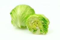 Fresh ice berg lettuce