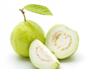 Fresh Guava Egyptian guava fruits