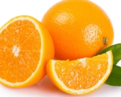 export fresh Egyptian Navel Orange