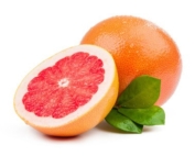 Grapefruit,Export Company in Egypt,citrus,citrus fruits
