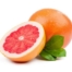 Grapefruit,Export Company in Egypt,citrus,citrus fruits